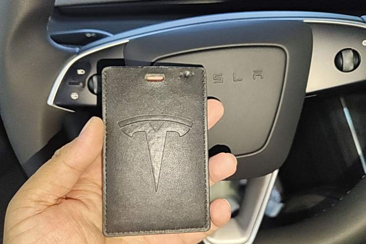 Used Tesla Model Y 2025 Rear-Wheel Drive First Edition Interior 1