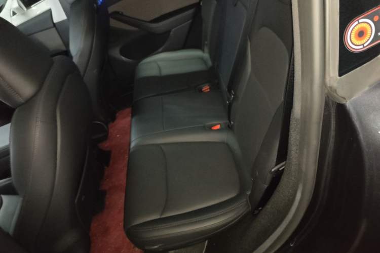 Used Tesla Model Y 2025 Rear-Wheel-Drive Version Left Rear Seat