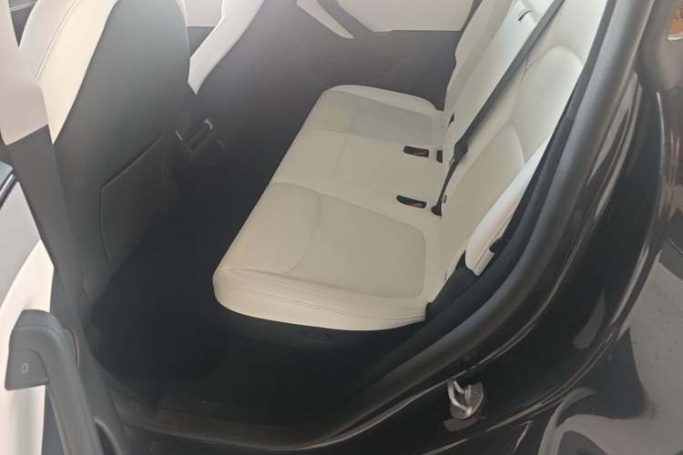 Used Tesla Model Y 2025 Long-Range All-Wheel Drive First Edition Left Rear Seat