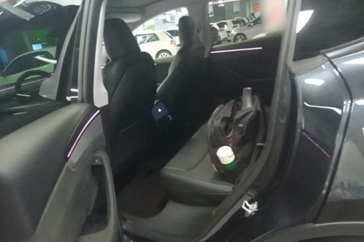 Used Tesla Model Y 2025 Long-Range All-Wheel Drive First Edition Left Rear Seat