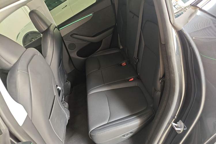 Used Tesla Model Y 2025 Long-Range All-Wheel-Drive Version Left Rear Seat