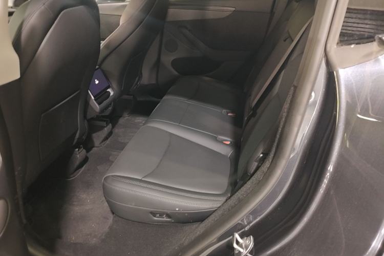 Used Tesla Model Y 2025 Long-Range All-Wheel Drive First Edition Left Rear Seat