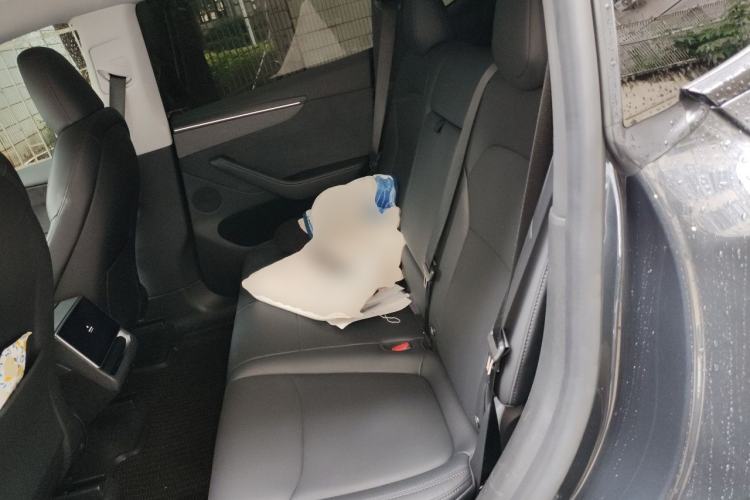 Used Tesla Model Y 2025 Long-Range All-Wheel-Drive Version Left Rear Seat