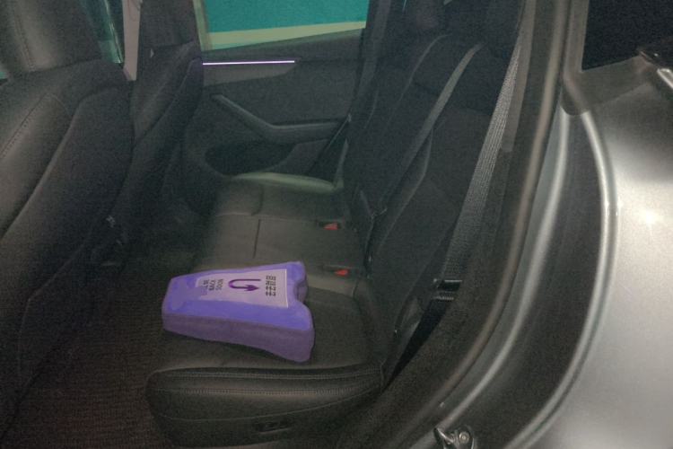 Used Tesla Model Y 2025 Long-Range All-Wheel-Drive Version Left Rear Seat