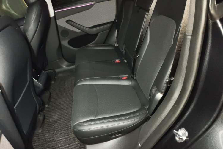 Used Tesla Model Y 2025 Rear-Wheel Drive First Edition Left Rear Seat