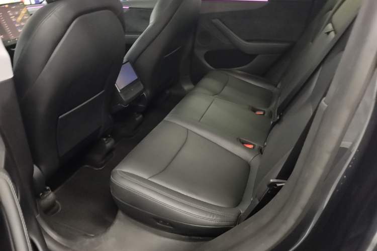 Used Tesla Model Y 2025 Long-Range All-Wheel Drive First Edition Left Rear Seat