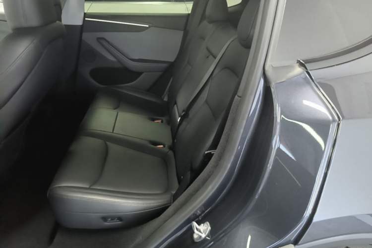 Used Tesla Model Y 2025 Rear-Wheel Drive First Edition Left Rear Seat