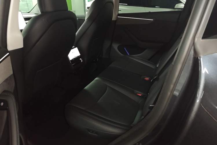 Used Tesla Model Y 2025 Long-Range All-Wheel Drive First Edition Left Rear Seat