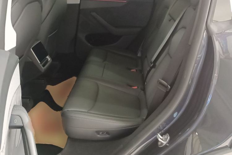 Used Tesla Model Y 2025 Long-Range All-Wheel Drive First Edition Left Rear Seat