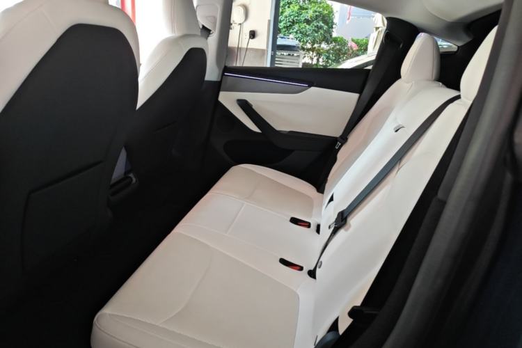 Used Tesla Model Y 2025 Long-Range All-Wheel Drive First Edition Left Rear Seat