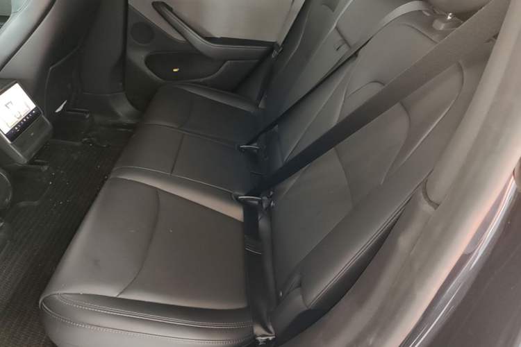 Used Tesla Model Y 2025 Rear-Wheel Drive First Edition Left Rear Seat
