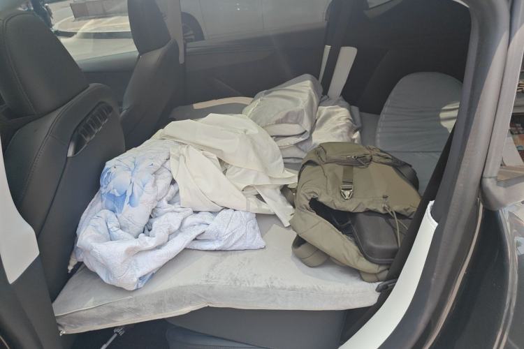 Used Tesla Model Y 2025 Long-Range All-Wheel Drive First Edition Left Rear Seat