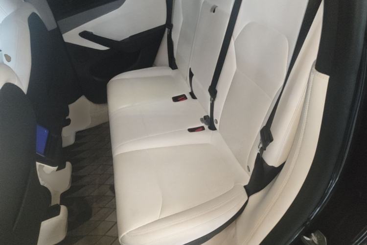 Used Tesla Model Y 2025 Long-Range All-Wheel Drive First Edition Left Rear Seat