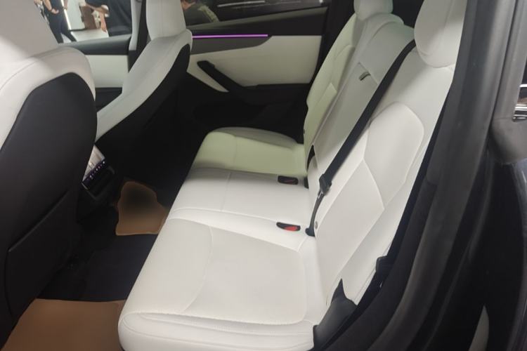 Used Tesla Model Y 2025 Rear-Wheel-Drive Version Left Rear Seat