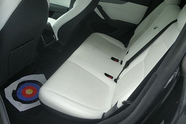Used Tesla Model Y 2025 Long-Range All-Wheel-Drive Version Left Rear Seat