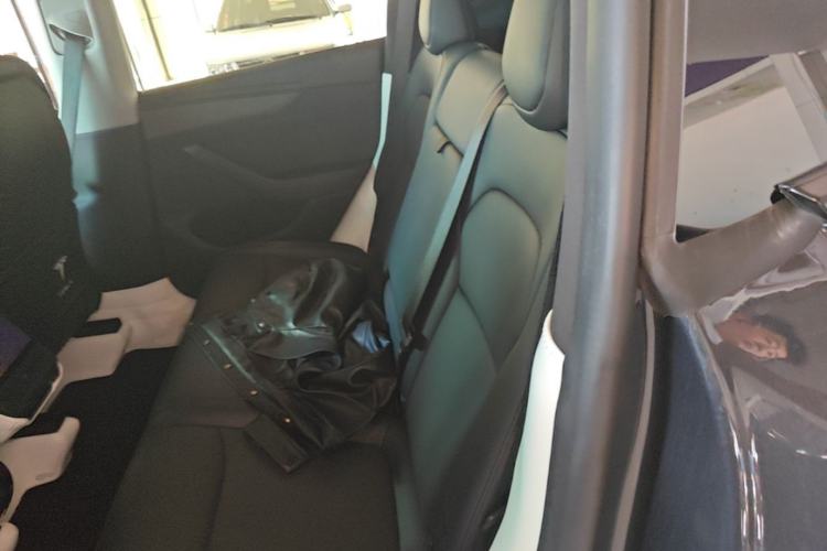 Used Tesla Model Y 2025 Long-Range All-Wheel Drive First Edition Left Rear Seat