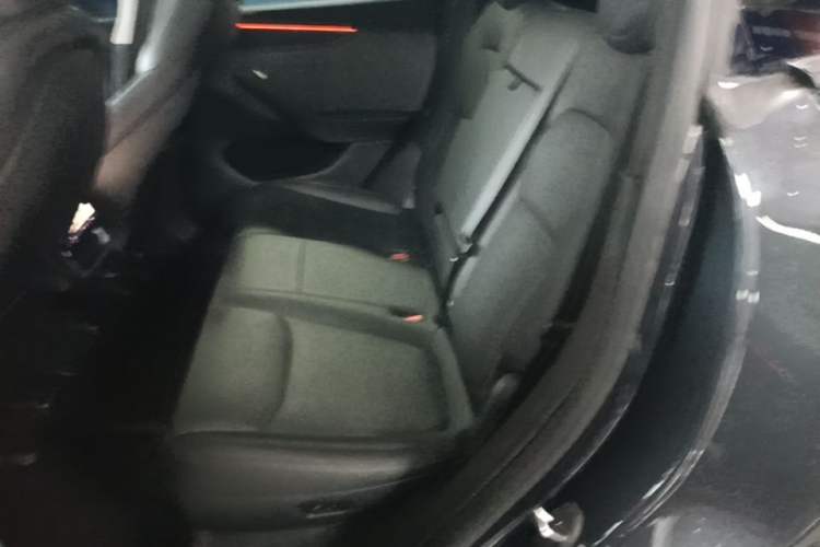 Used Tesla Model Y 2025 Rear-Wheel-Drive Version Left Rear Seat