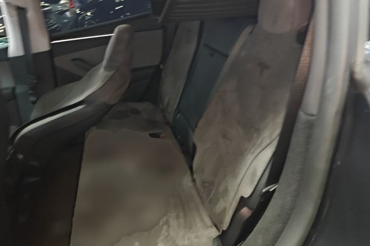 Used Tesla Model Y 2025 Rear-Wheel Drive First Edition Left Rear Seat