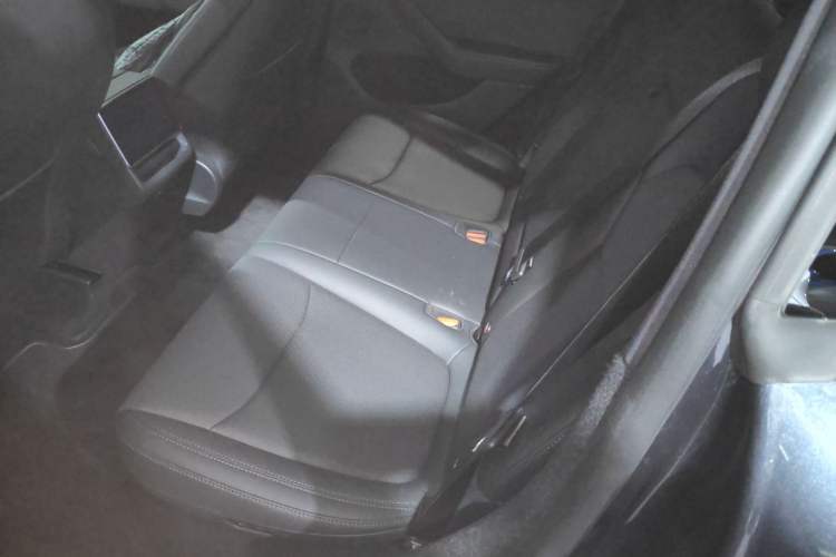 Used Tesla Model Y 2025 Long-Range All-Wheel Drive First Edition Left Rear Seat