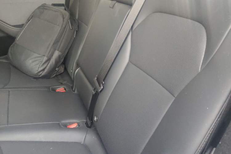 Used Tesla Model Y 2025 Rear-Wheel-Drive Version Left Rear Seat