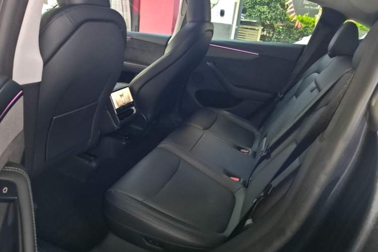 Used Tesla Model Y 2025 Long-Range All-Wheel Drive First Edition Left Rear Seat