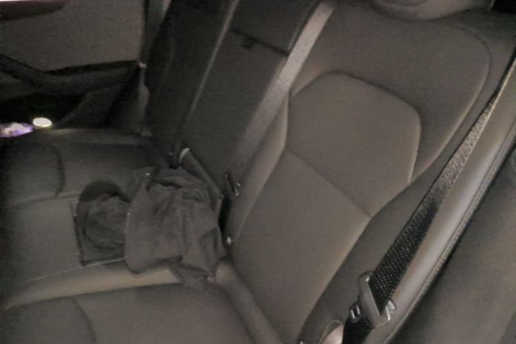 Used Tesla Model Y 2025 Rear-Wheel-Drive Version Left Rear Seat