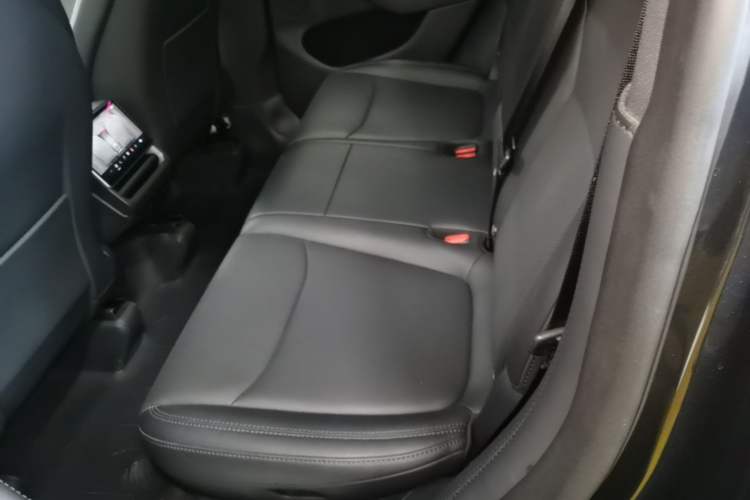 Used Tesla Model Y 2025 Rear-Wheel Drive First Edition Left Rear Seat