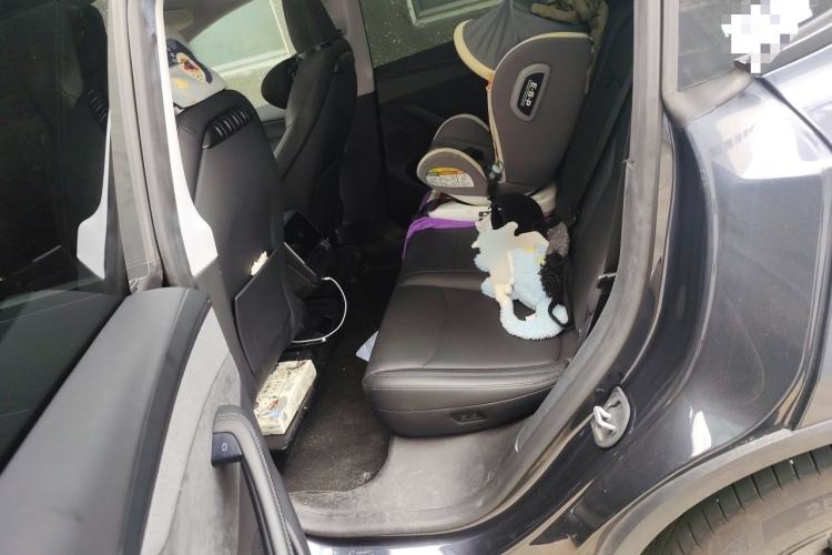 Used Tesla Model Y 2025 Long-Range All-Wheel Drive First Edition Left Rear Seat