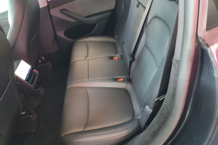Used Tesla Model Y 2025 Rear-Wheel Drive First Edition Left Rear Seat