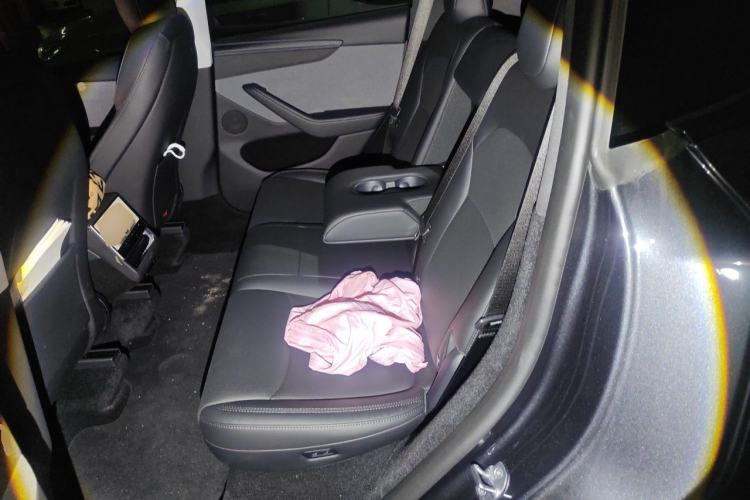 Used Tesla Model Y 2025 Rear-Wheel-Drive Version Left Rear Seat