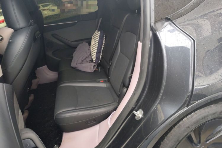 Used Tesla Model Y 2025 Rear-Wheel-Drive Version Left Rear Seat