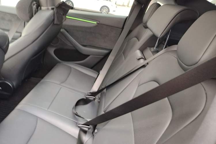 Used Tesla Model Y 2025 Long-Range All-Wheel Drive First Edition Left Rear Seat
