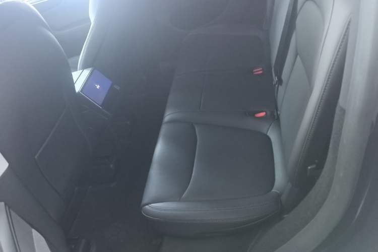 Used Tesla Model Y 2025 Rear-Wheel-Drive Version Left Rear Seat