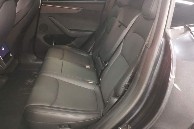 Used Tesla Model Y 2025 Long-Range All-Wheel Drive First Edition Left Rear Seat