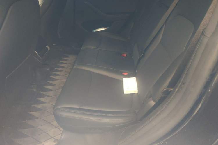 Used Tesla Model Y 2025 Long-Range All-Wheel Drive First Edition Left Rear Seat