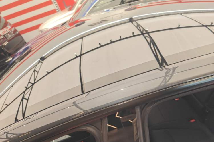 Used Tesla Model Y 2025 Rear-Wheel-Drive Version Roof