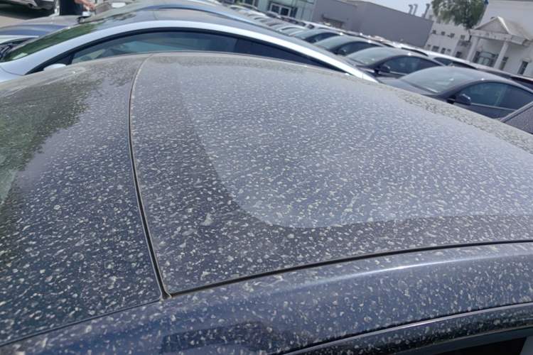 Used Tesla Model Y 2025 Rear-Wheel-Drive Version Roof
