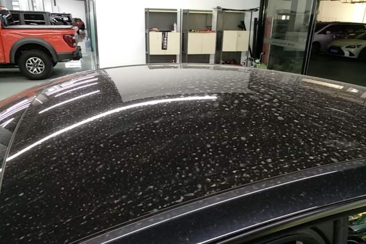 Used Tesla Model Y 2025 Rear-Wheel Drive First Edition Roof