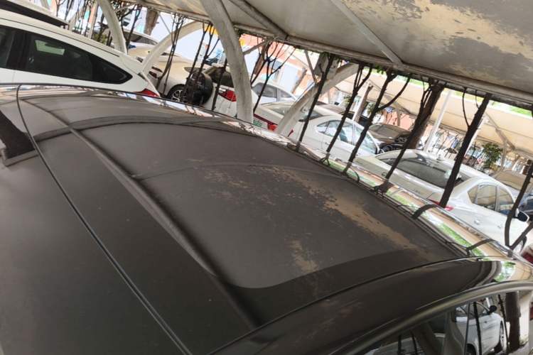Used Tesla Model Y 2025 Rear-Wheel Drive First Edition Roof