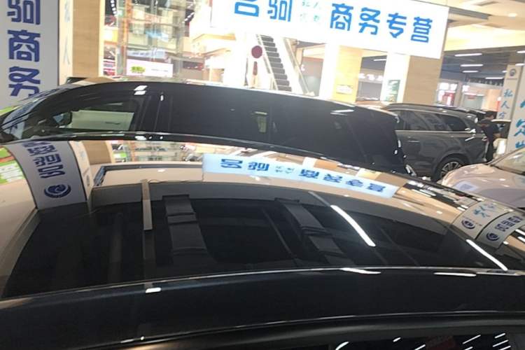 Used Tesla Model Y 2025 Rear-Wheel-Drive Version Roof