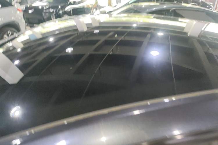Used Tesla Model Y 2025 Rear-Wheel-Drive Version Roof