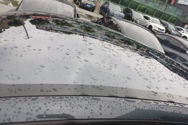 Used Tesla Model Y 2025 Rear-Wheel-Drive Version Roof