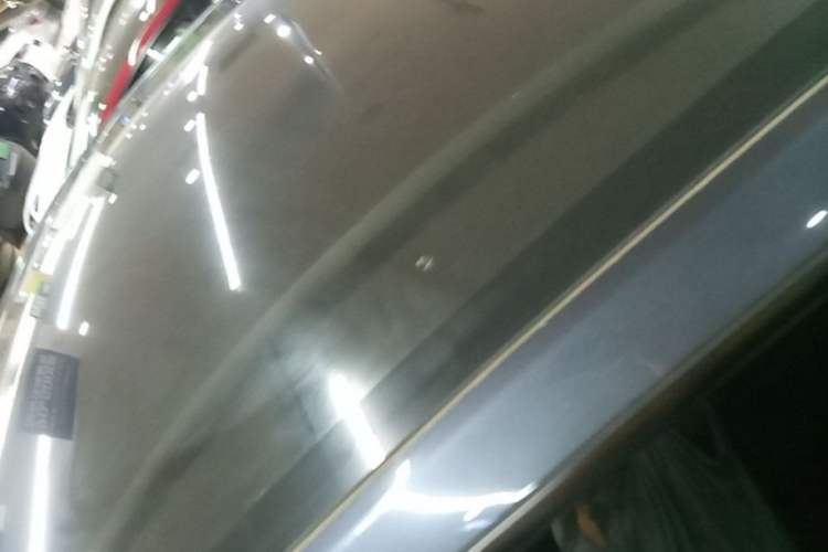 Used Tesla Model Y 2025 Long-Range All-Wheel-Drive Version Roof
