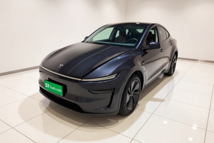 Tesla Model Y 2025 Rear-Wheel-Drive Version