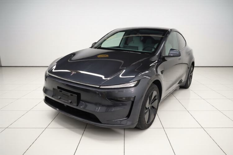 Tesla Model Y 2025 Long-Range All-Wheel-Drive Version