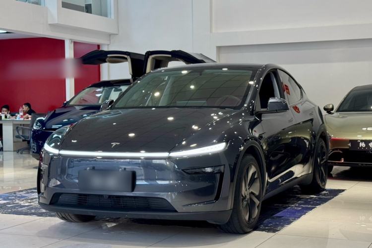 Tesla Model Y 2025 Rear-Wheel-Drive Version