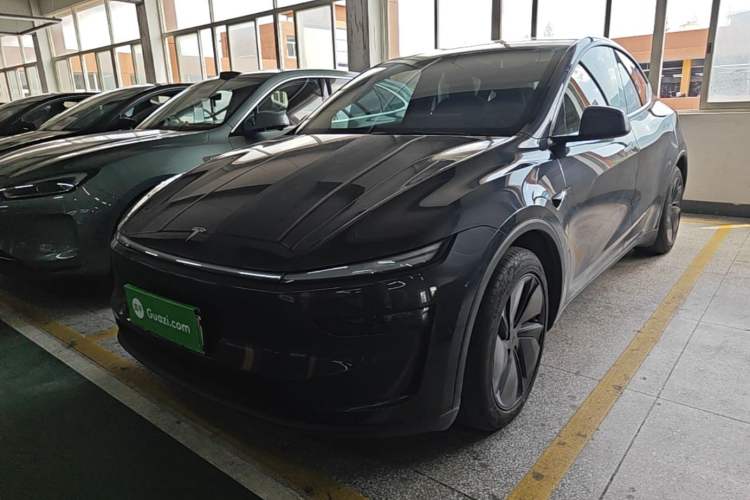 Tesla Model Y 2025 Rear-Wheel-Drive Version