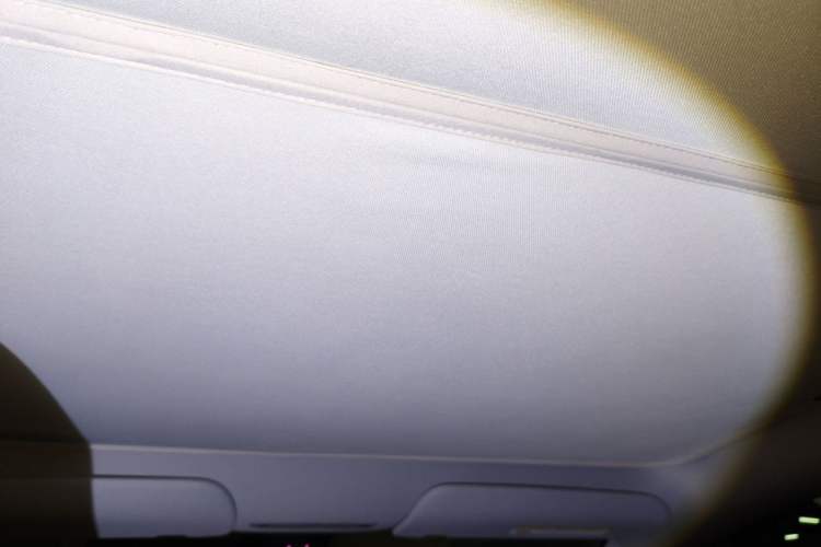 Used Tesla Model Y 2025 Rear-Wheel Drive First Edition Headliner
