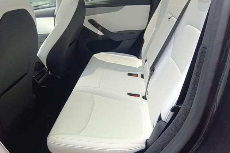 Used Tesla Model Y 2025 Rear-Wheel-Drive Version Left Rear Seat