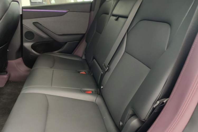 Used Tesla Model Y 2025 Rear-Wheel-Drive Version Left Rear Seat